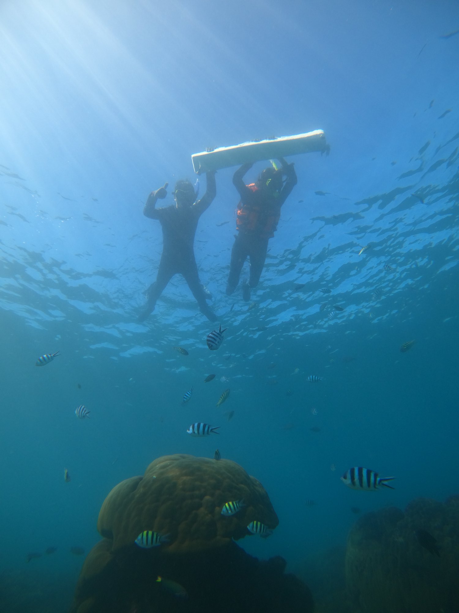 澎湖旅遊-海底郵筒浮潛